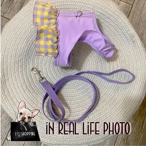 Purple and Yellow Checkered Dog Harness & Leash Set